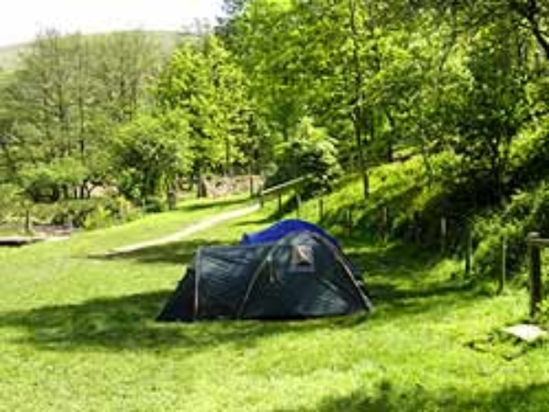 Fieldhead Campsite 16589