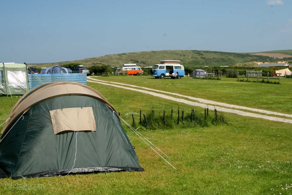 Gwithian Farm Campsite 16594