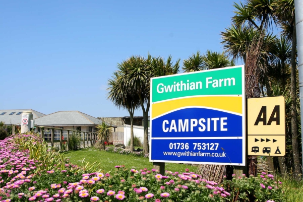 Gwithian Farm Campsite 16595