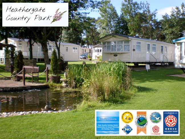 Hafod Brynog Caravan & Camping Park 1661