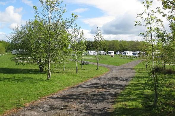 York Meadows Caravan Park 16759