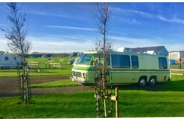 Higher Moor Farm Campsite 16772