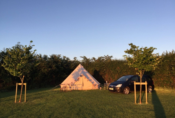 Higher Moor Farm Campsite 16775
