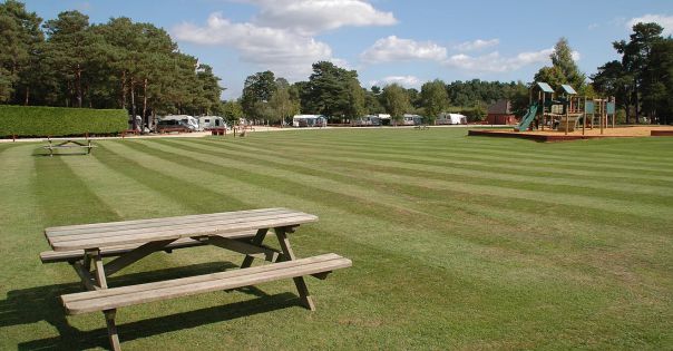 Wareham Forest Tourist Park 16797