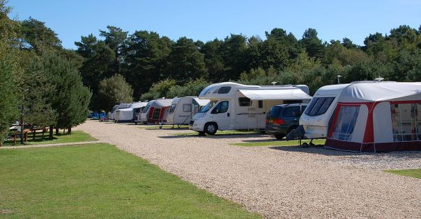 Wareham Forest Tourist Park 16798