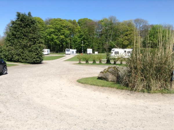 Glenearly Caravan Park 16929