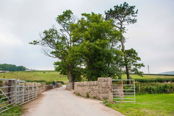 Dinarth Hall Camping & Caravan Site 16945