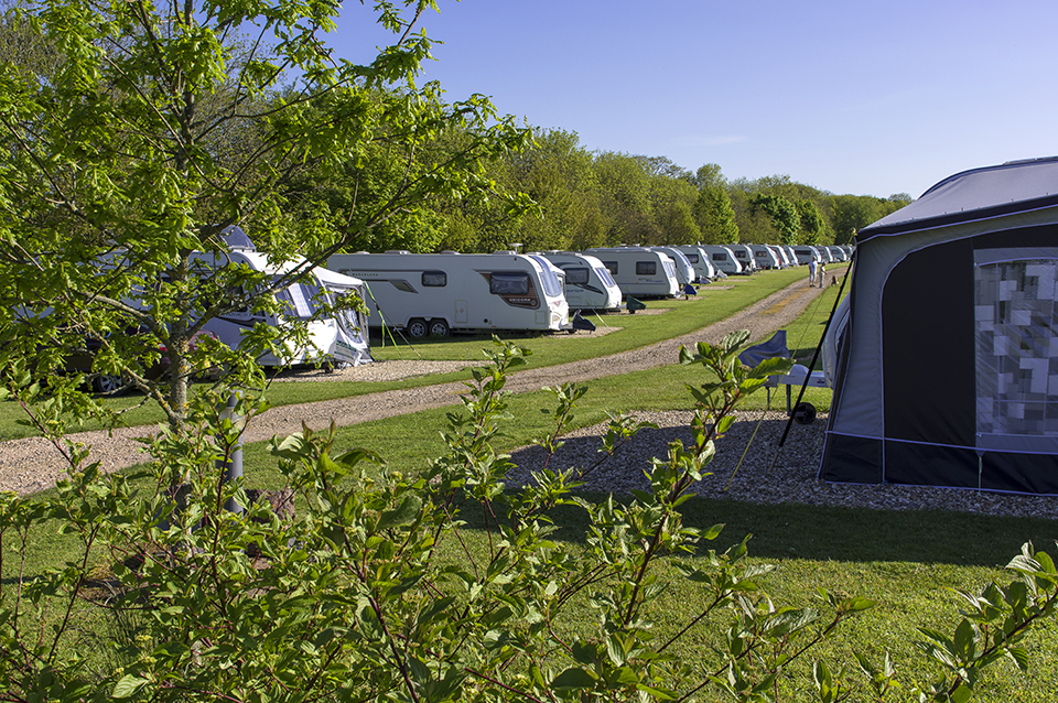 Oakdown Touring and Holiday Caravan Park 16971