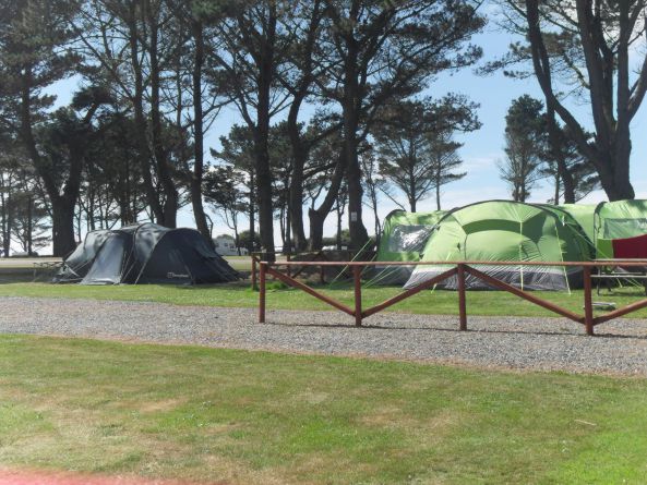 Redlands Touring Caravan & Camping Park 16977