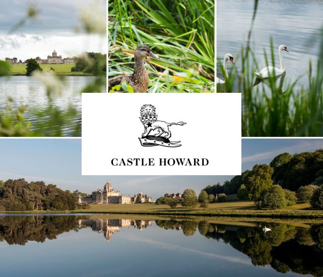 Castle Howard Camping & Caravanning 17227