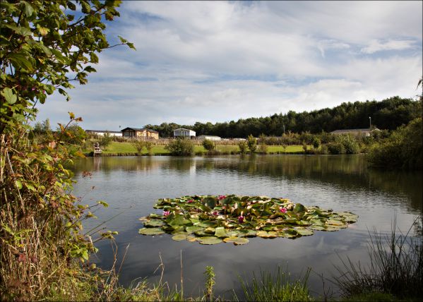 Riverside Caravan Park 17260