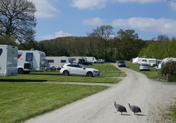 Wayside Camping and Caravanning Park 17298