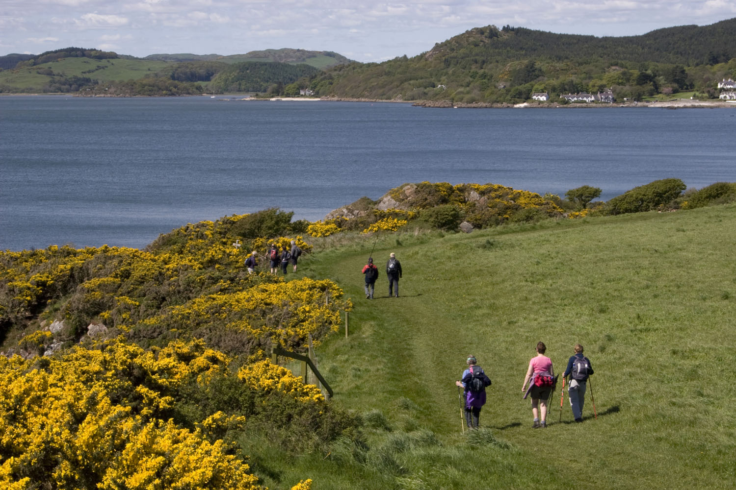 Coastal Kippford 17440