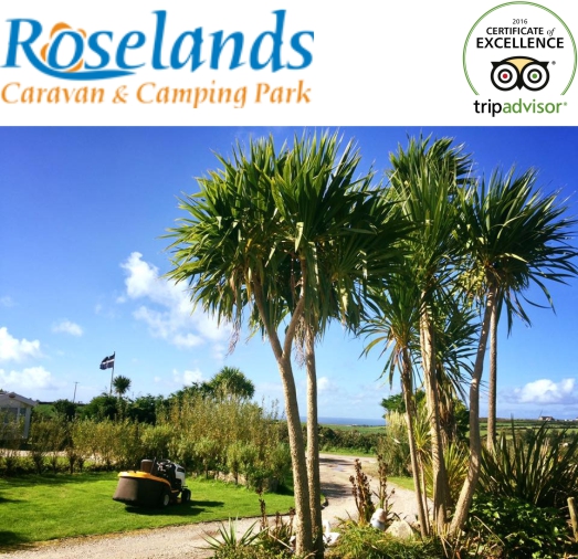 Roselands Caravan and Camping Park 22