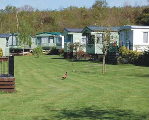 Fell End Caravan Park 4233