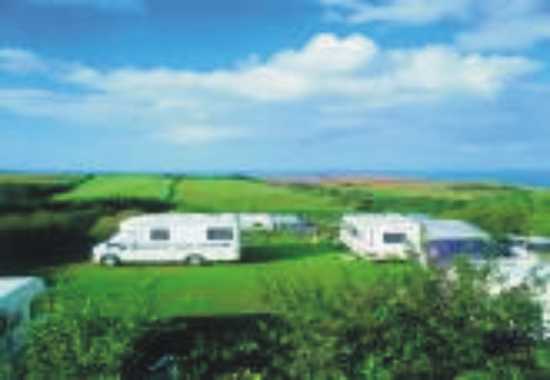 Hillhead Caravan Club Site 4419