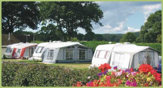 Pear Tree Holiday Park 4762