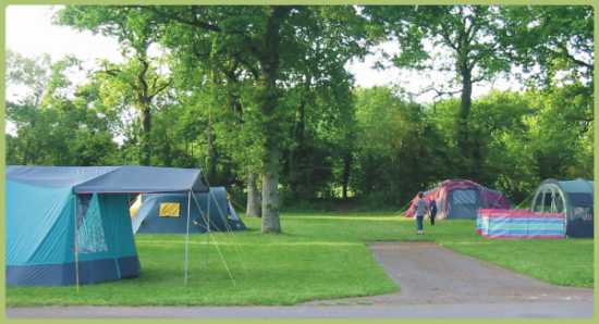 Pear Tree Holiday Park 4763