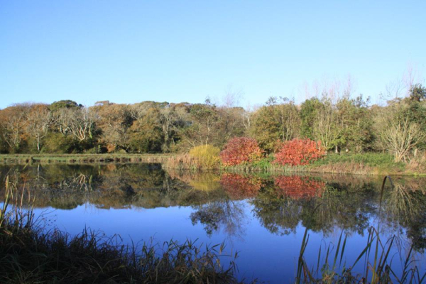 Rosewall Camping, Riding & Lakes 4808