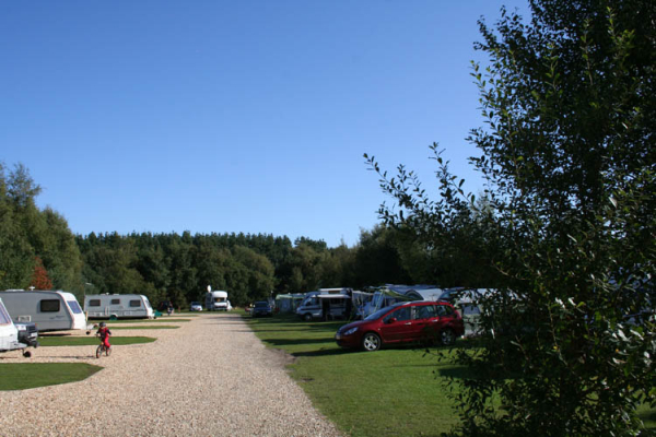 Wareham Forest Tourist Park 4824