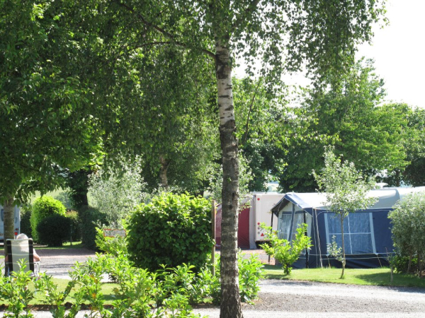 Bingham Grange Touring and Camping Park 4887