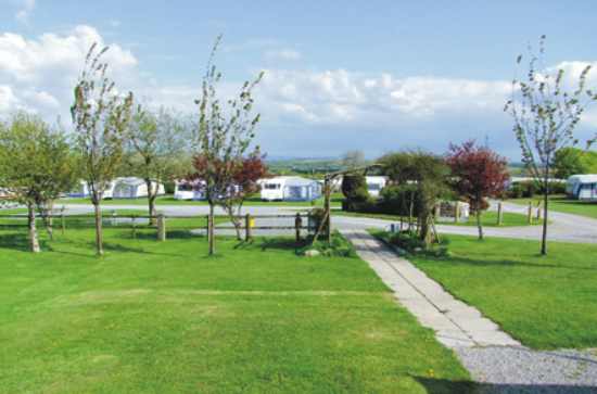 Pantglas Farm Caravan Park 5453