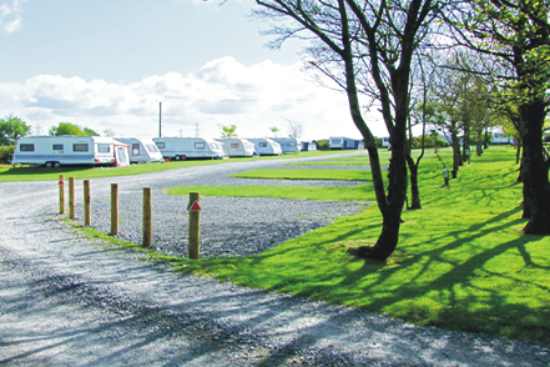 Pantglas Farm Caravan Park 5455