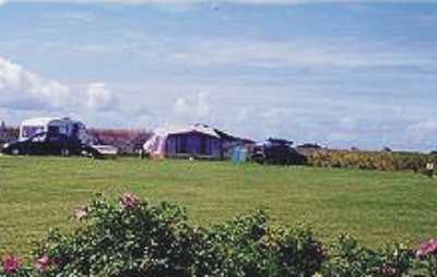 Hasguard Cross Caravan Holiday Park 5473