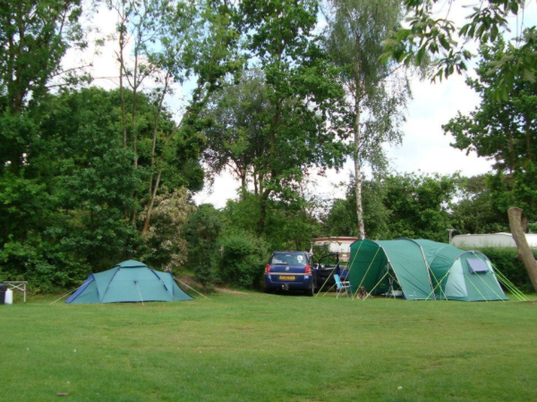 Little Lakeland Caravan Park 5497