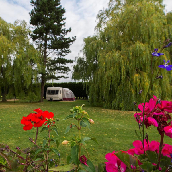 Highfield Farm Touring Park 5498