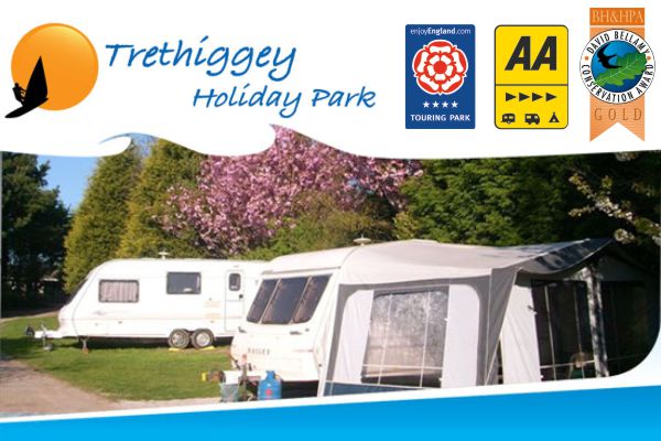 Trethiggey Touring Park