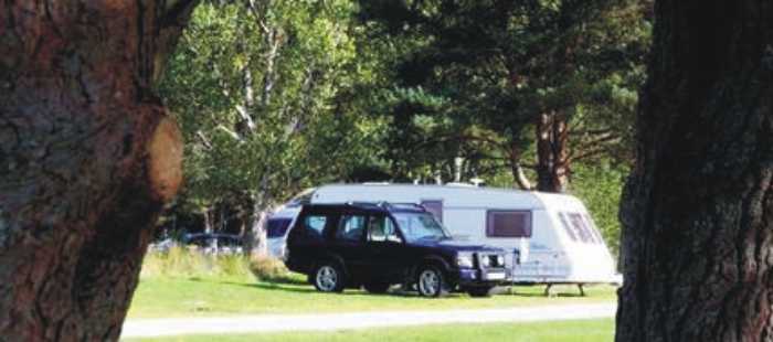 Thorpe Caravan and Camping Site 5637