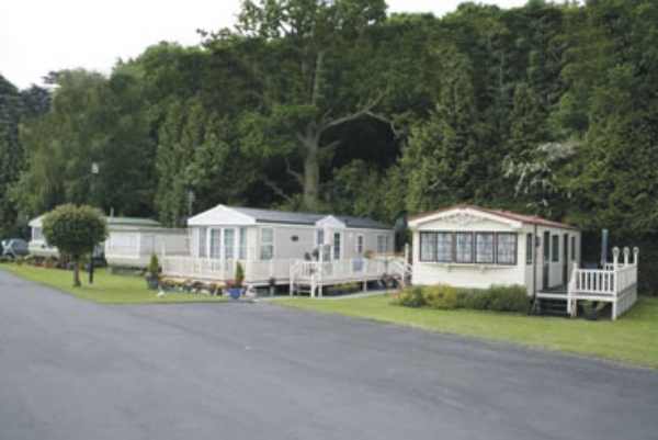 Walshes Farm Caravan Park 5674