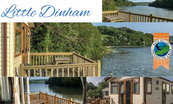 Little Dinham Woodland Caravan Park 604