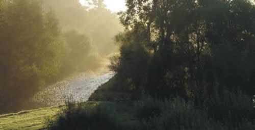 Daneside Country Park 6164