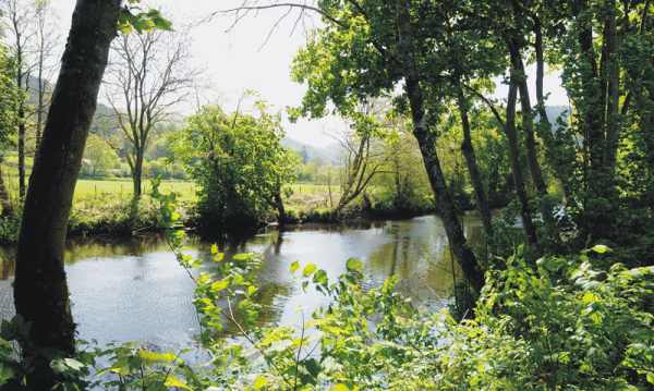 Riverside Touring Park 6295