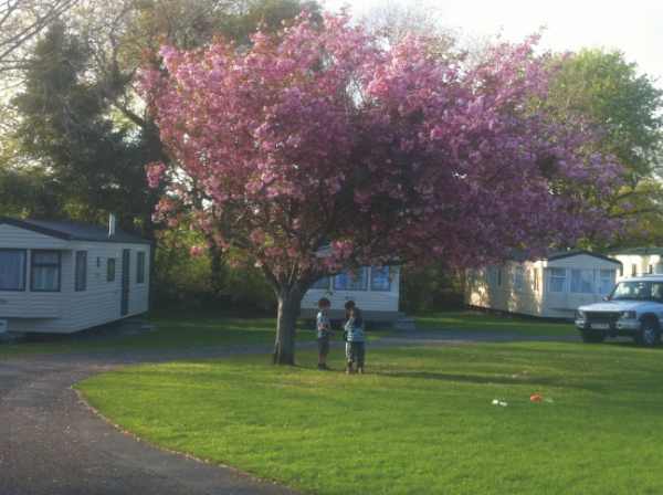 Bryn Gloch Caravan & Camping Park 6340