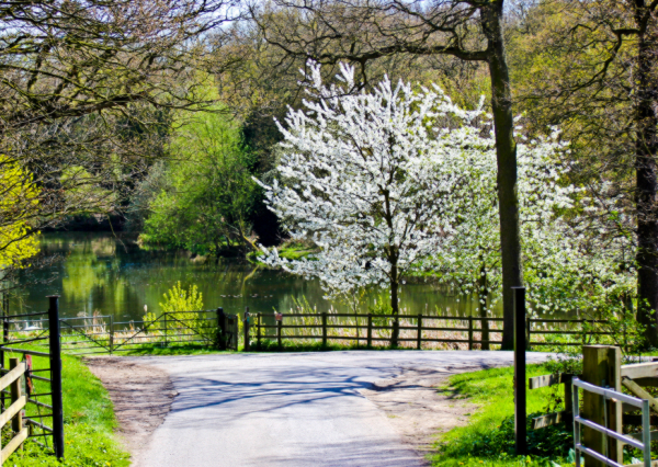 Pwll Coch Caravan Site 6356