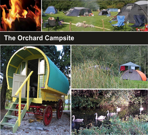 The Orchard Campsite