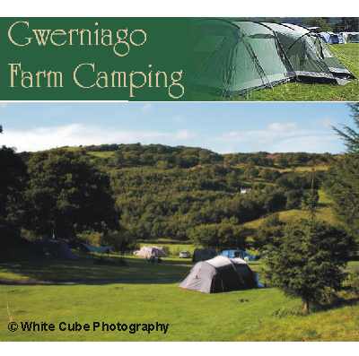 Gwerniago Campsite 669