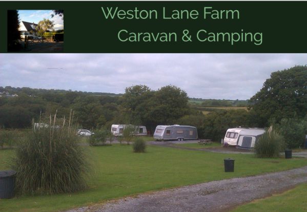 Weston Lane Farm