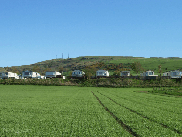 Heads of Ayr Caravan Park 7022