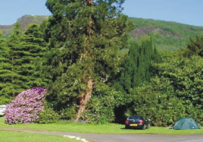 Glendaruel Caravan & Camping Park 7145