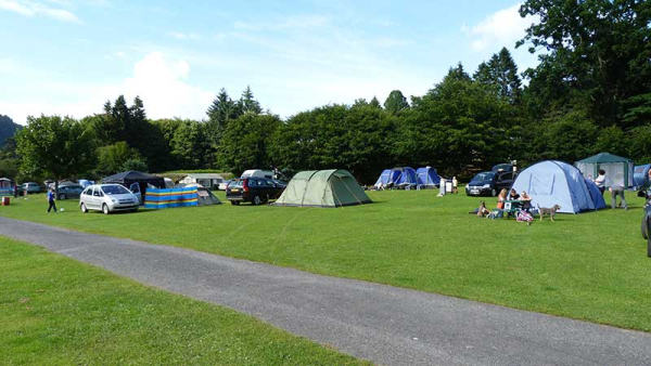 Faskally Caravan Park 7165