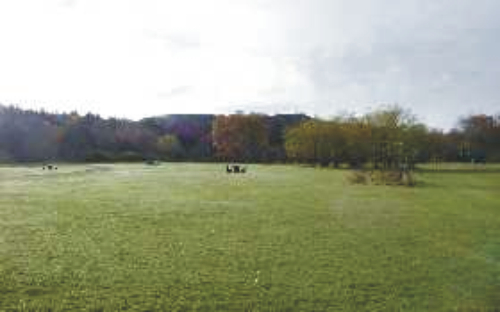 Kilvrecht Caravan & Campsite 7181