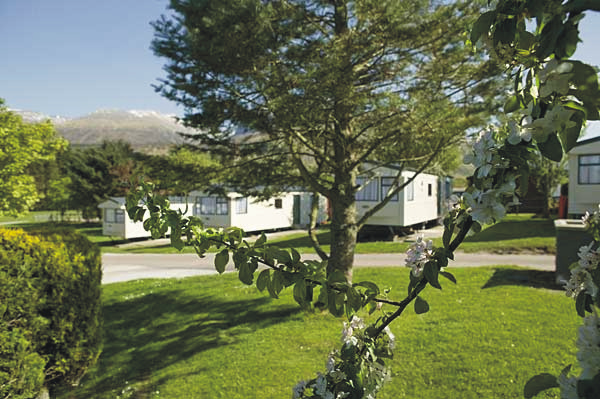 Lochy Holiday Park 7222