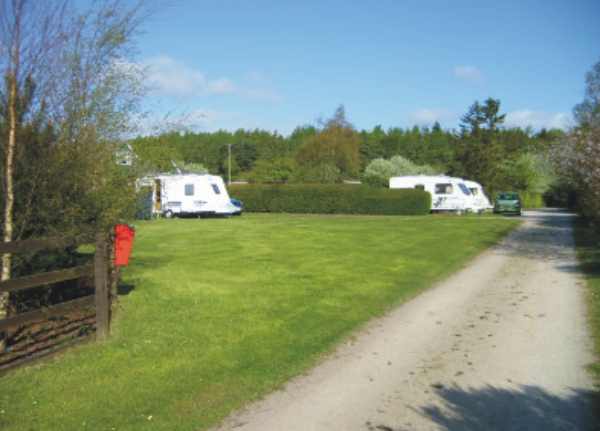 Hillhead Caravan Park 7233