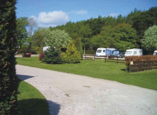 Hillhead Caravan Park 7234