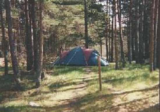 Rothiemurchus Camp & Caravan Park 7247
