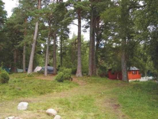 Rothiemurchus Camp & Caravan Park 7249